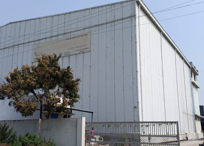 MAHAVEER COLD AND FOOD PROCESSING